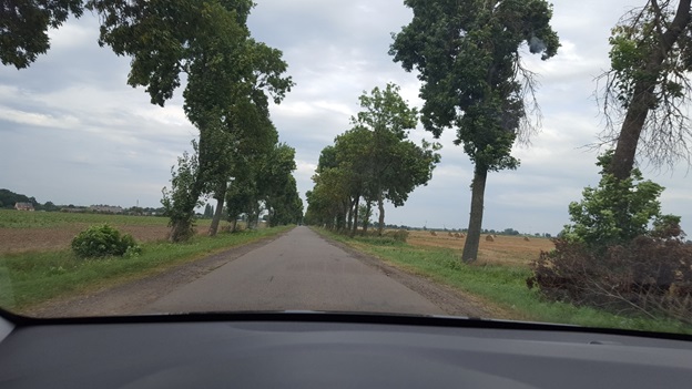 Mazovian country lane