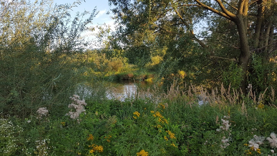 river in Warka, Poland