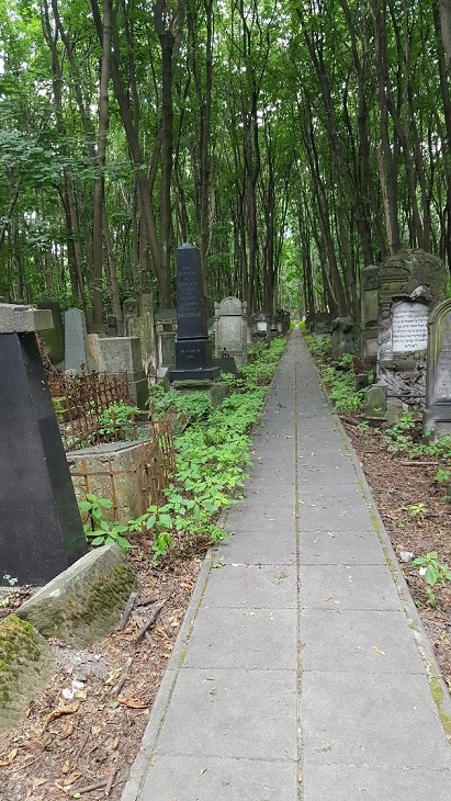 Jewish Cemetery on Okopowa Street