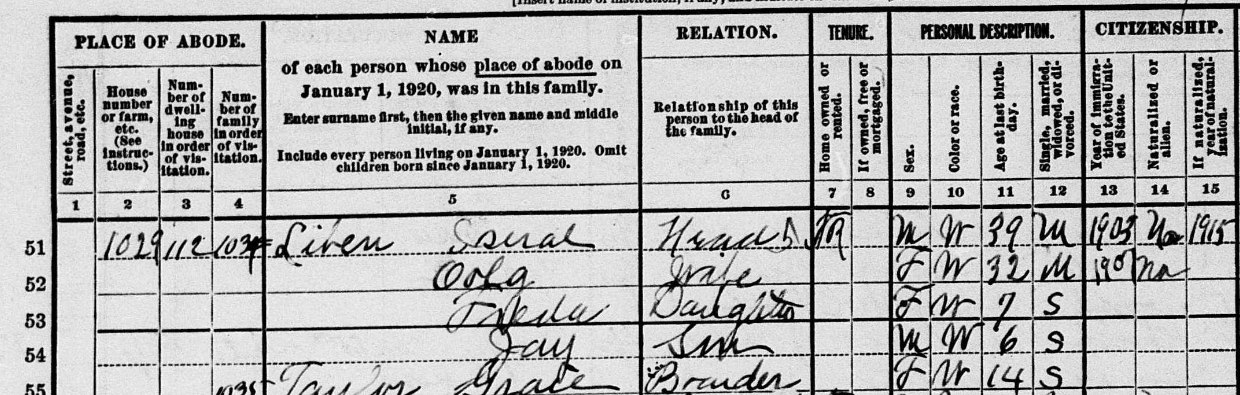 excerpt from 1920 US census