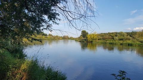 river in Warka, Poland